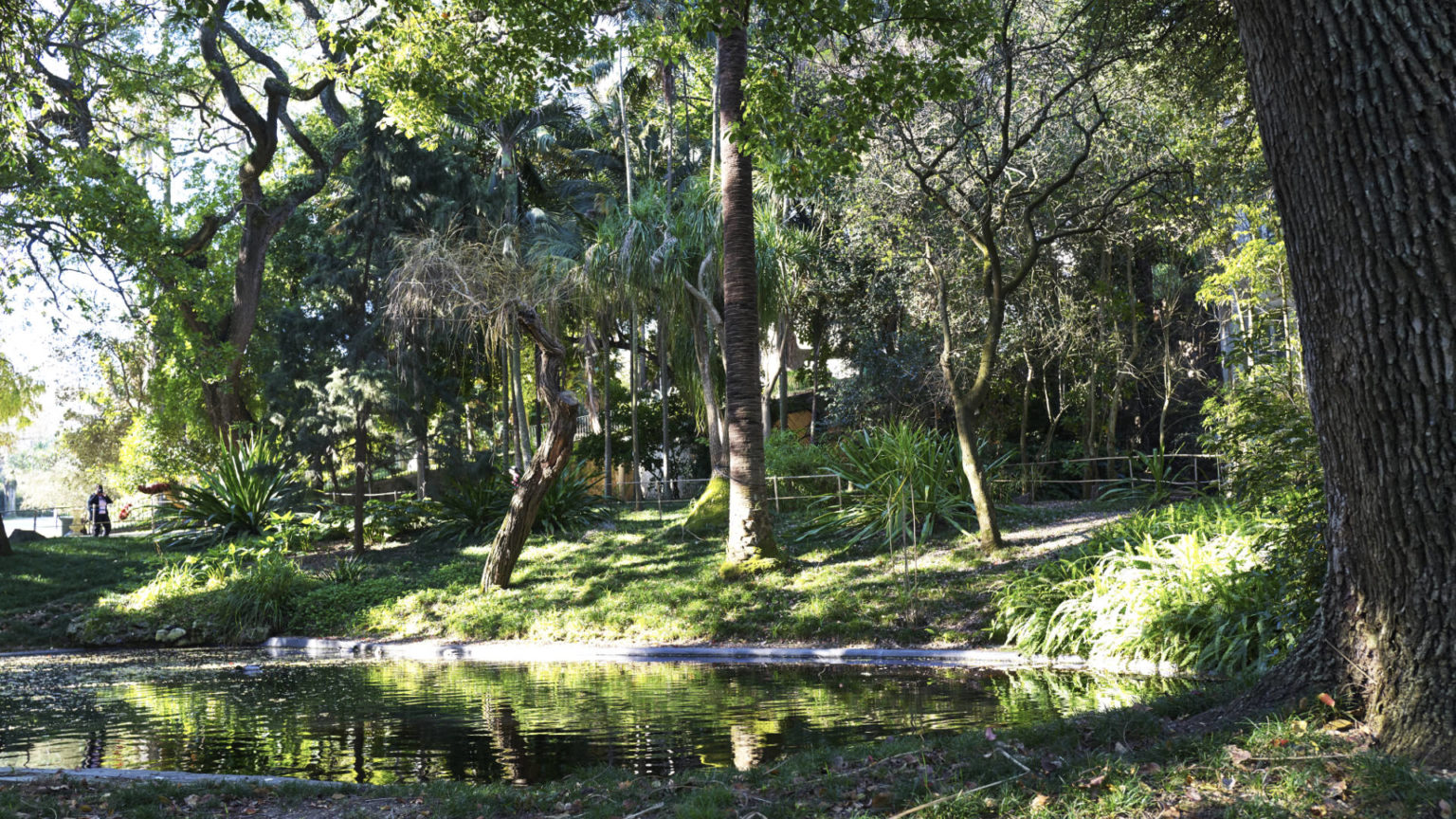 Jardim Botânico de Lisboa.