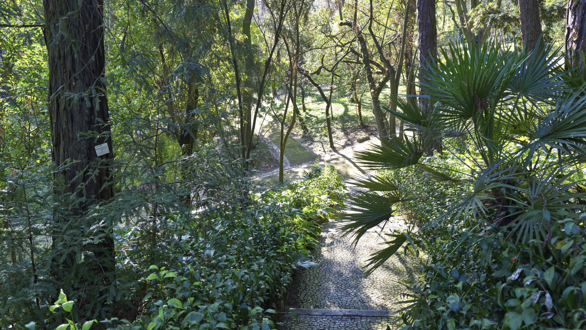 Jardim Botânico de Lisboa.
