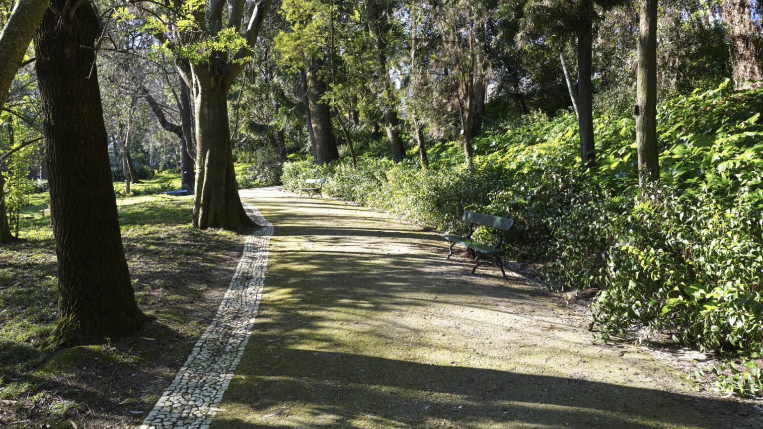 Jardim Botânico de Lisboa.