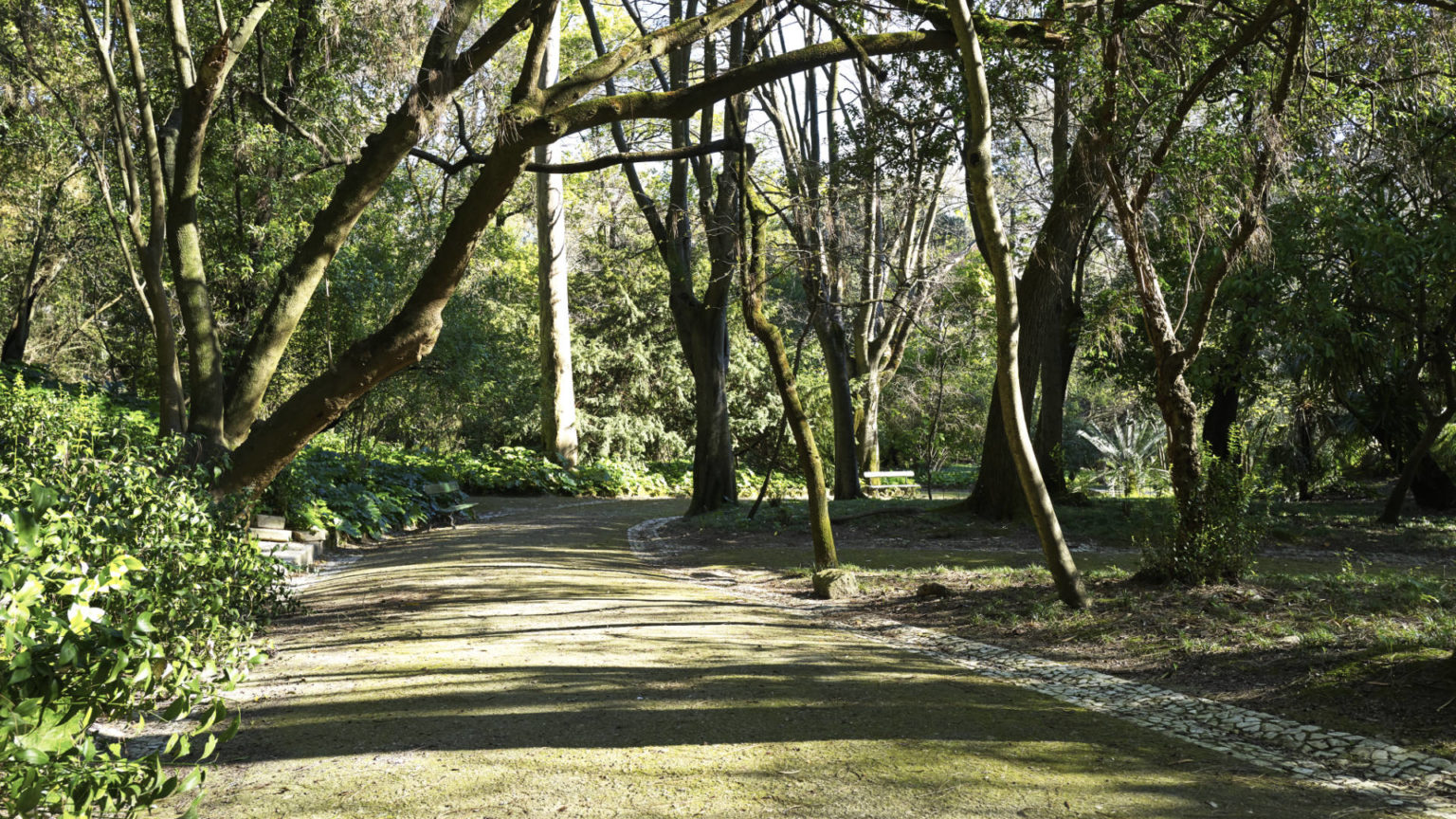 Jardim Botânico de Lisboa.