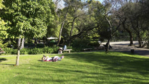 Jardim da Estrela Lissabon.