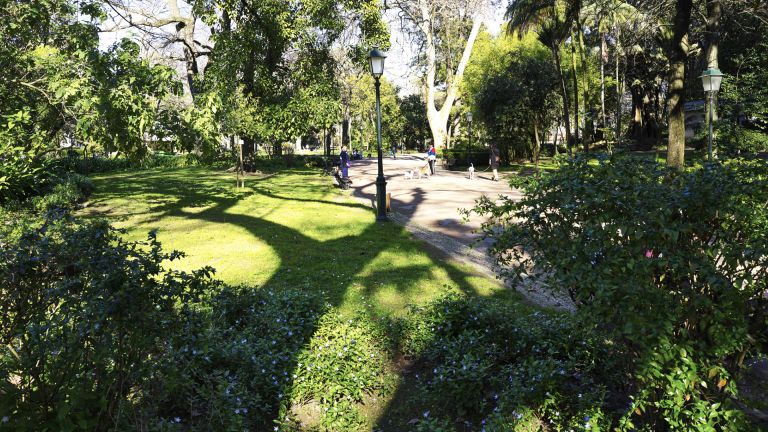 Jardim da Estrela Lissabon.