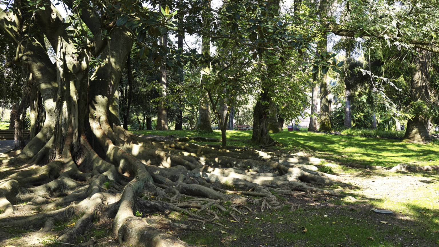 Jardim Botânico Tropical de Lisboa.