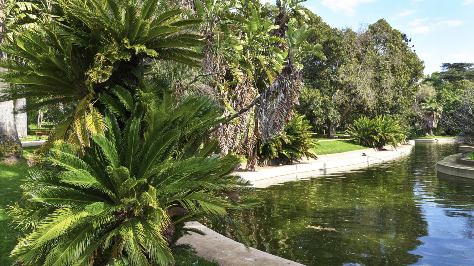 Jardim Botânico Tropical de Lisboa.