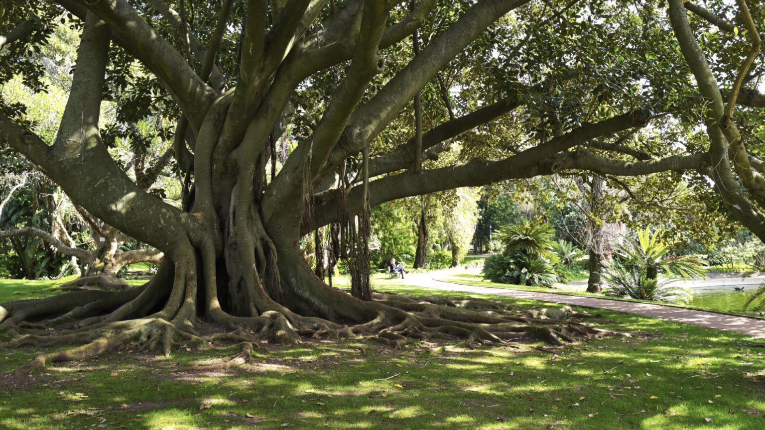 Jardim Botânico Tropical de Lisboa.