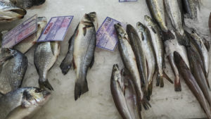 Frische Sardinen im Mercado da Ribeira am Cais Sodré.