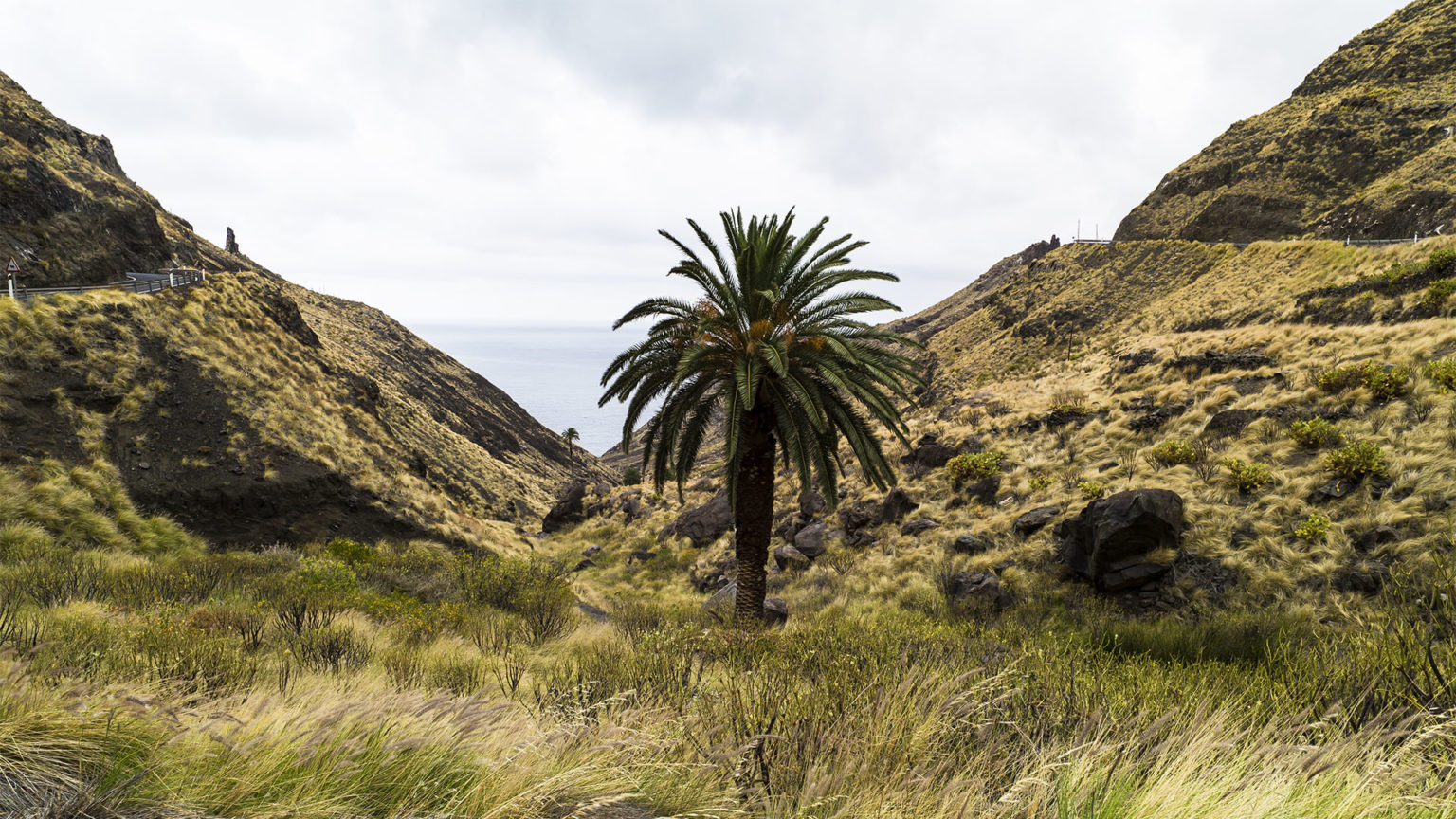 Barranco y Playa Guayedra Puerto de las Nieves Gran Canaria.