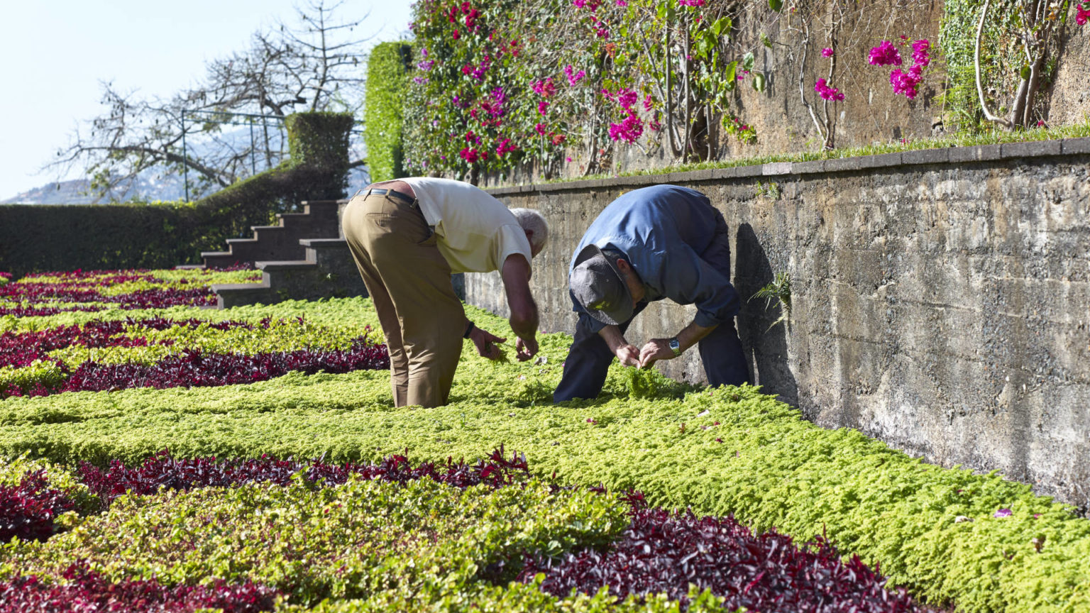 Der botanische Garten im ehemaligen Anwesen des William Reid, Madeira.