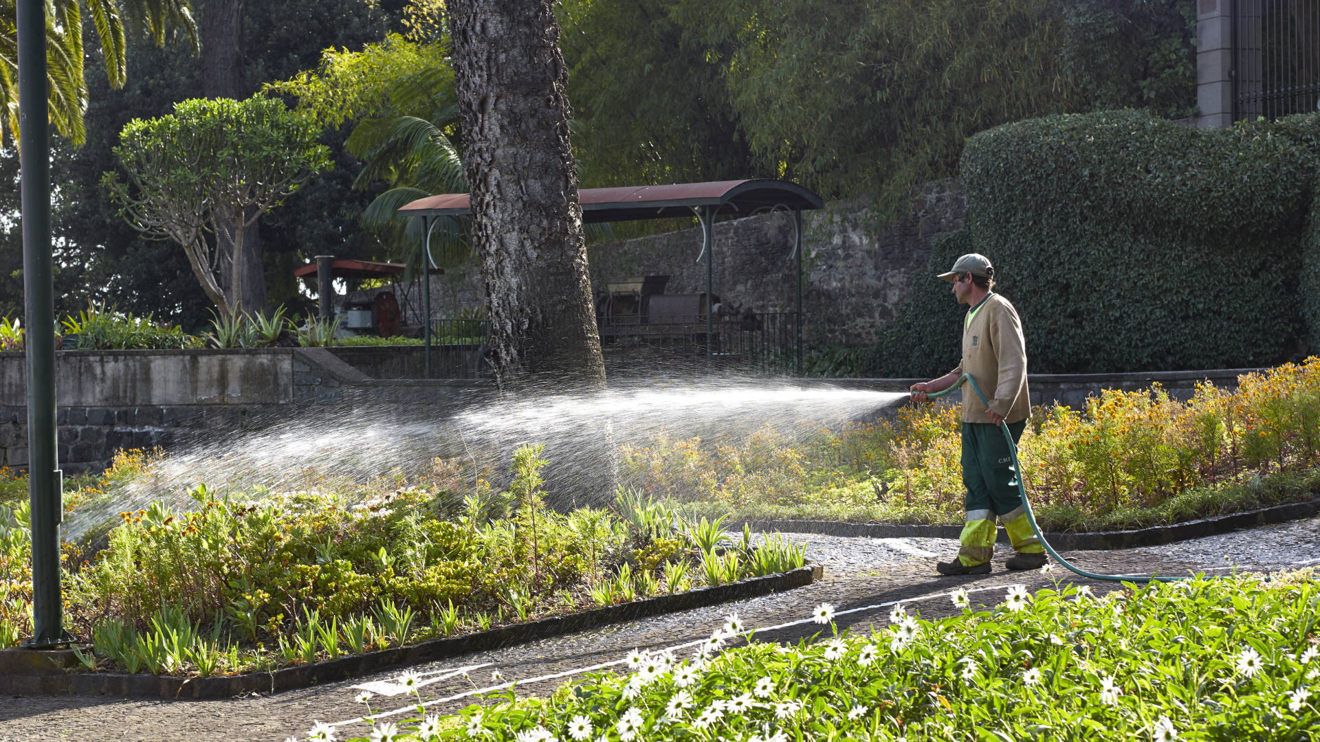 Der botanische Garten im ehemaligen Anwesen des William Reid, Madeira.