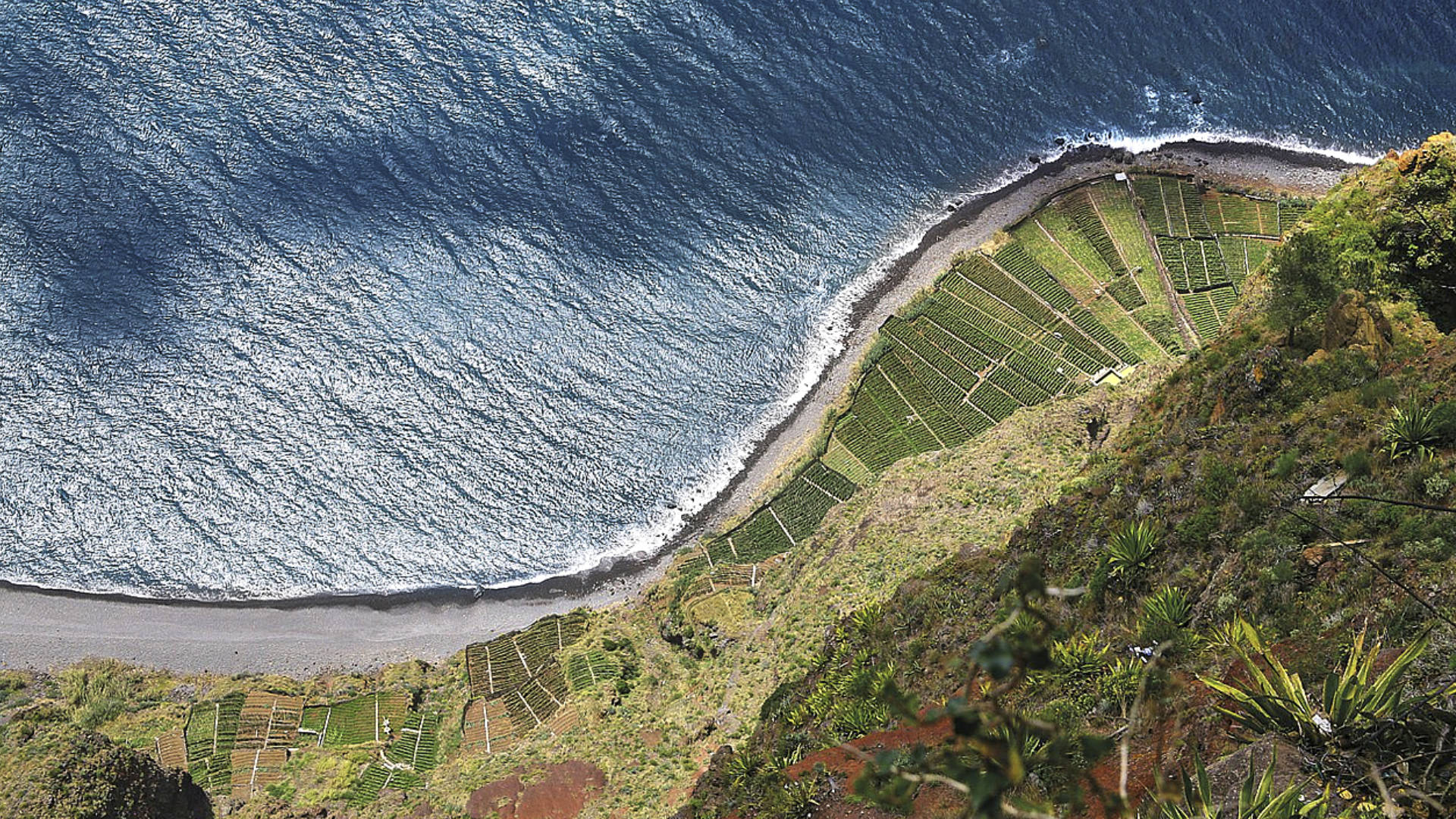 Die atemberaubenden Klippen von Madeira.