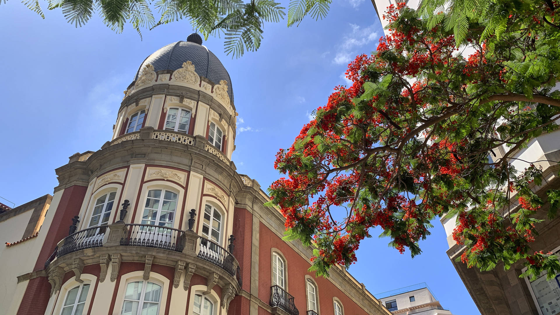 Altstadt Casco von Santa Cruz de Tenerife in herrschaftlich kolonialem Stil.