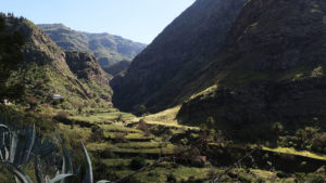 Einst Heimat des Zuckerrohrs – das Valle de Agaete Gran Canaria.