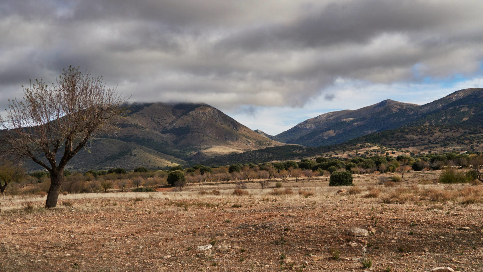 Mit dem Auto von Cádiz nach Alicante.