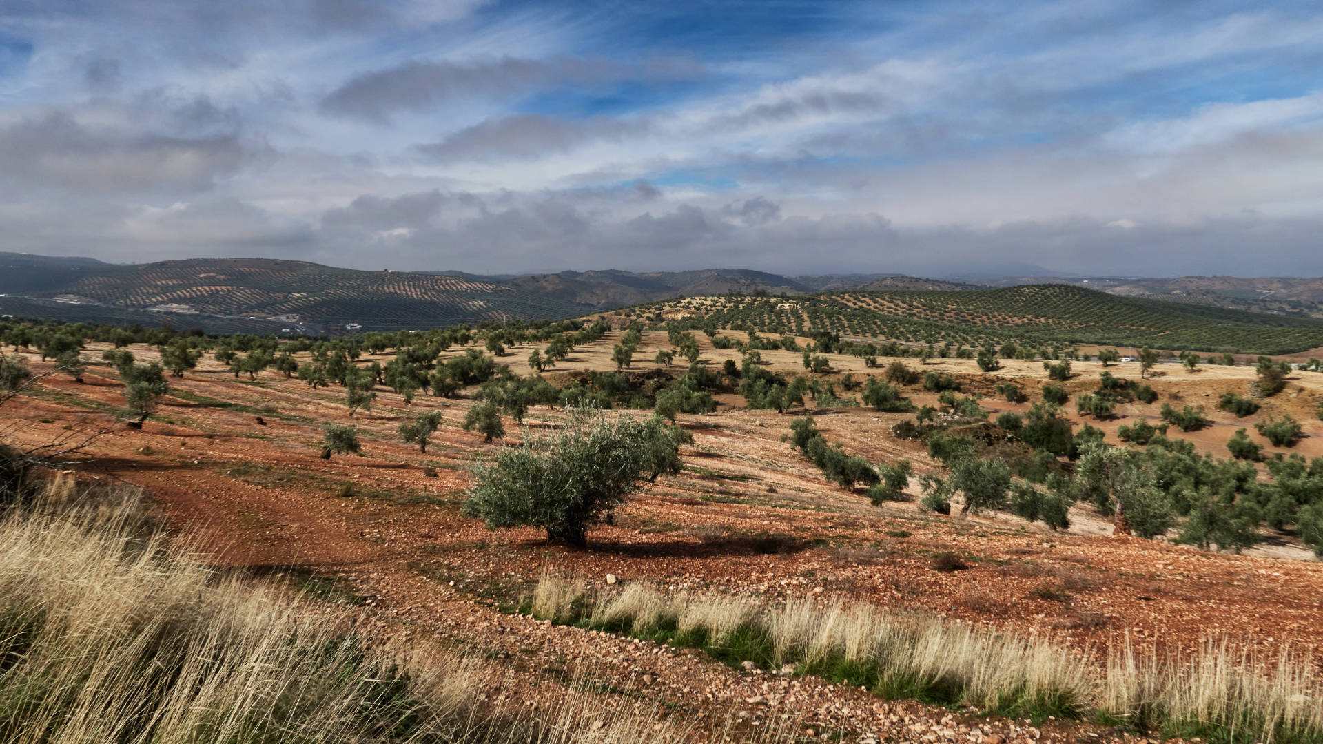 Mit dem Auto von Cádiz nach Alicante.