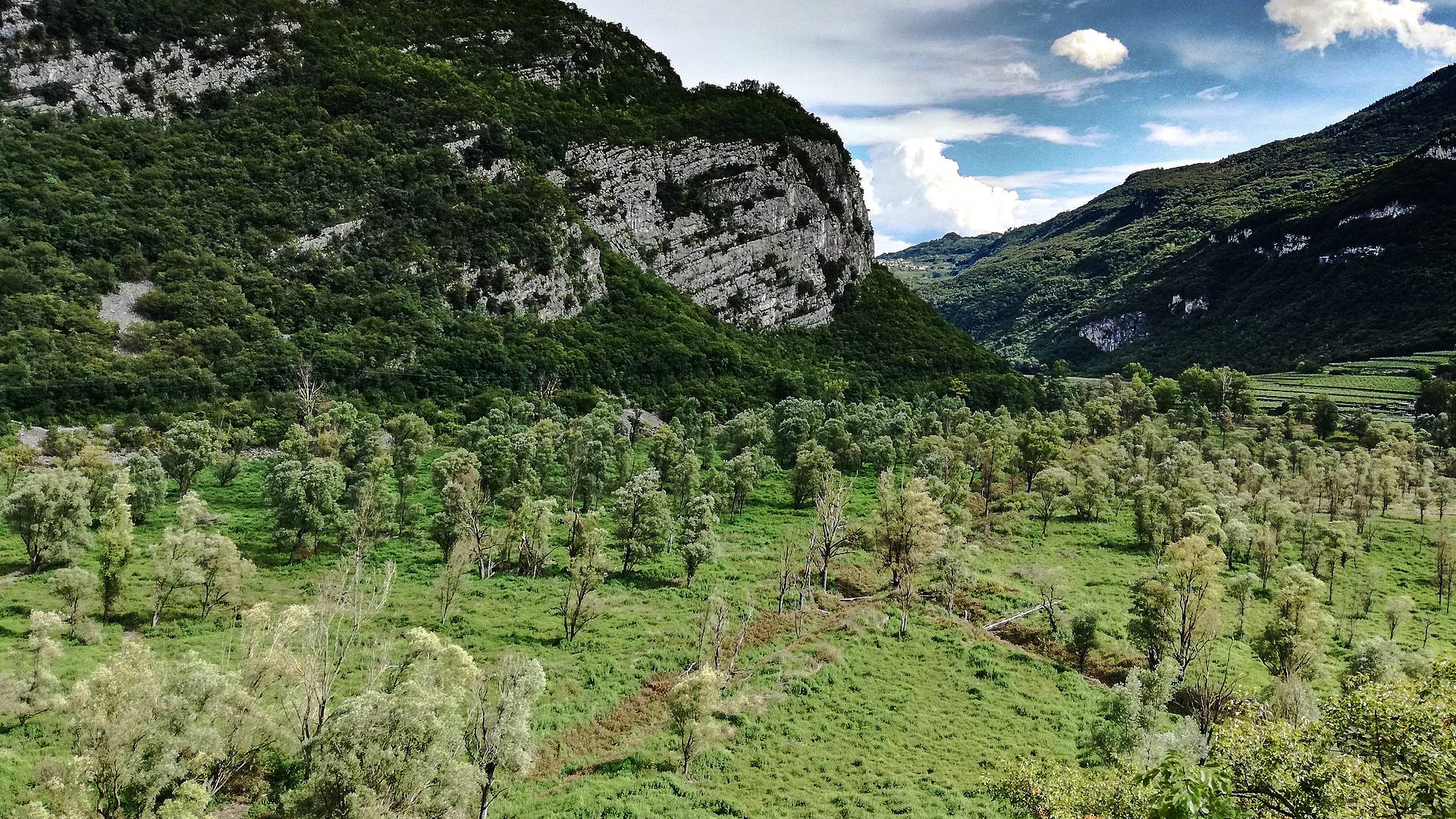 Der verlandete Lago die Loppio im Camaras Tal.