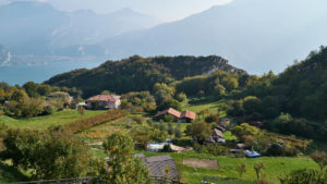 Die fruchtbaren Felder von Pregasina, Lago di Garda.