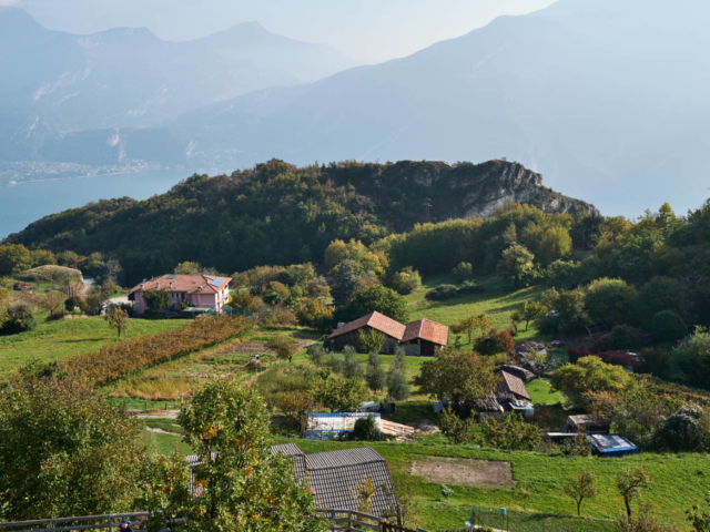 Die fruchtbaren Felder von Pregasina, Lago di Garda.