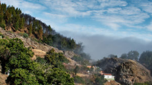 Über die GC-220 und GC-150 hinauf zum Roque Nublo.