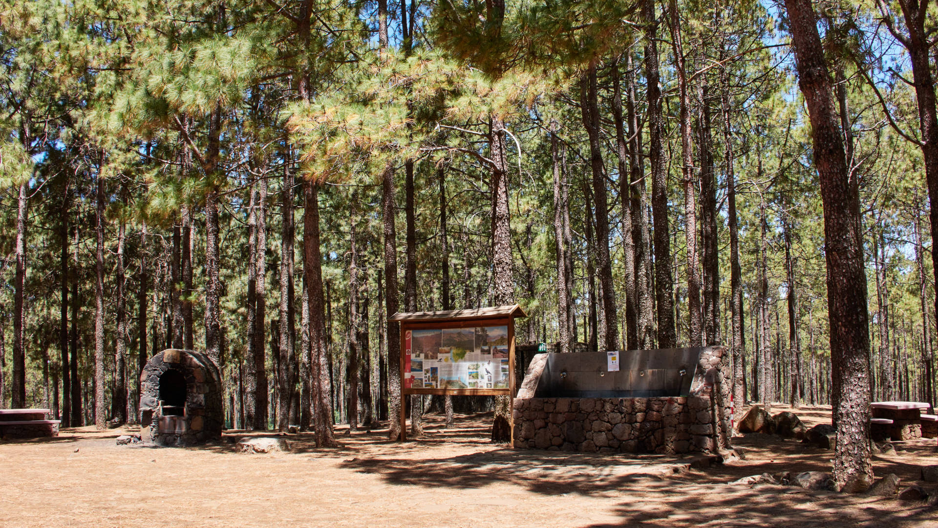 Der Naturcampingplatz auf den Llanos de la Pez Gran Canaria.