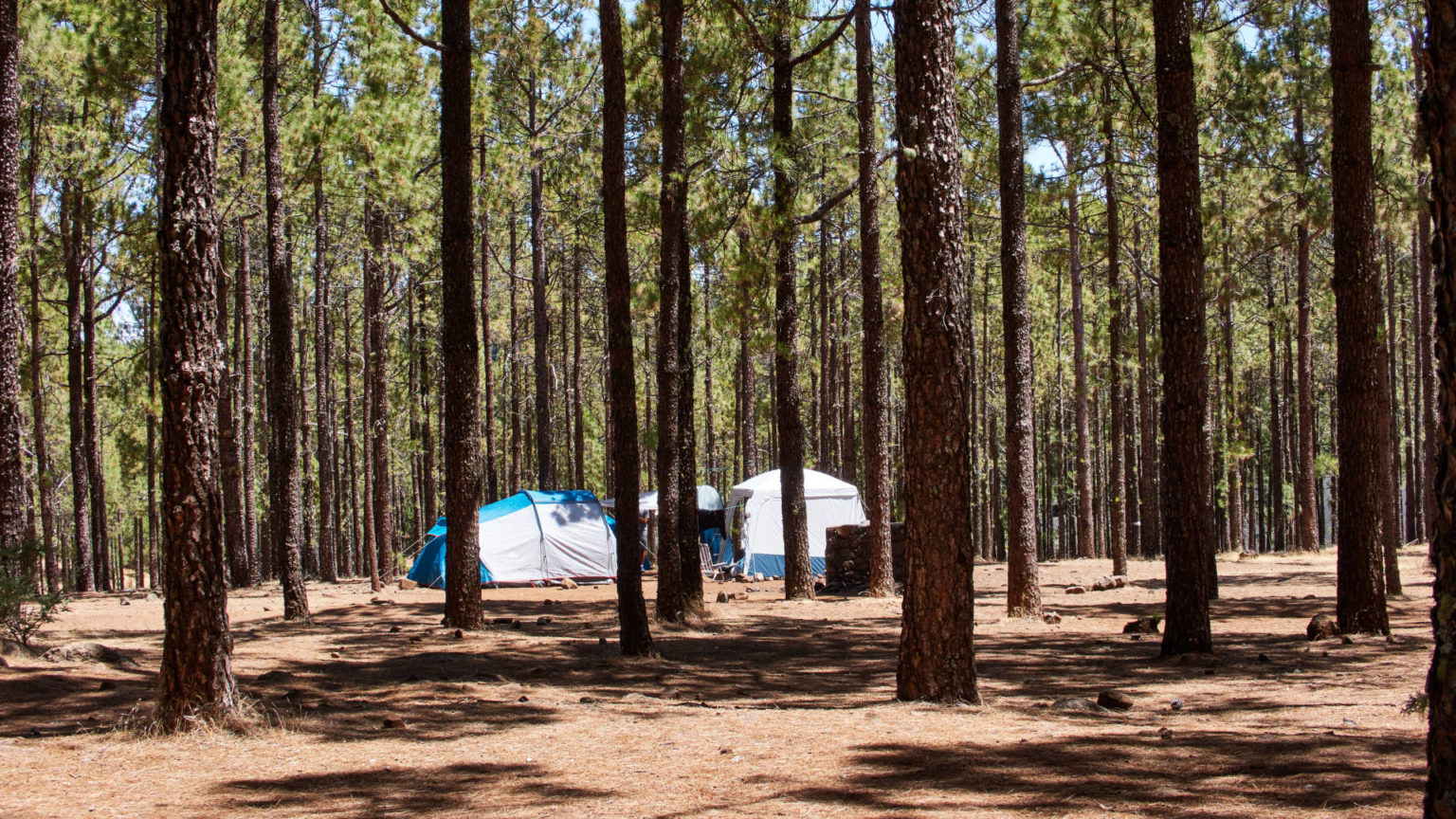 Der Naturcampingplatz auf den Llanos de la Pez Gran Canaria. ¡Viva España!