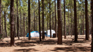 Der Naturcampingplatz auf den Llanos de la Pez Gran Canaria.