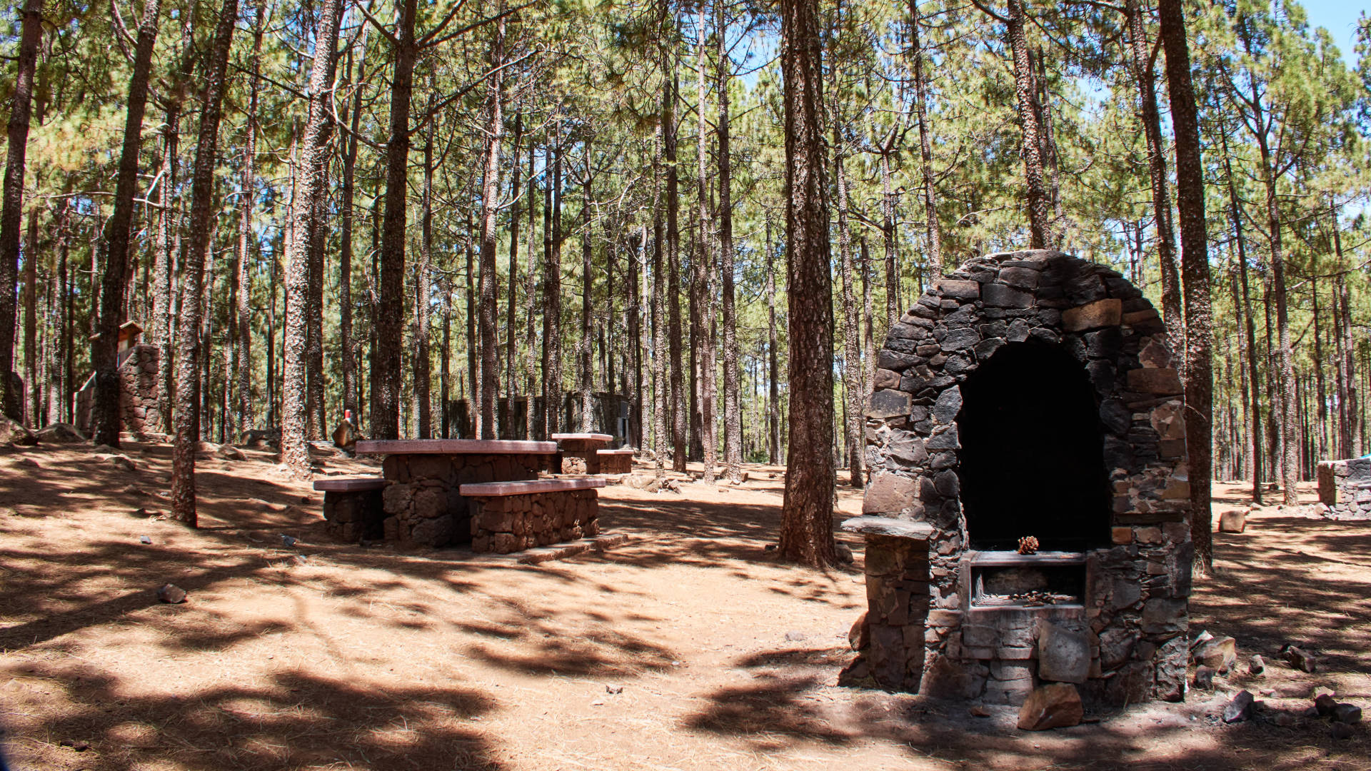 Der Naturcampingplatz auf den Llanos de la Pez Gran Canaria.