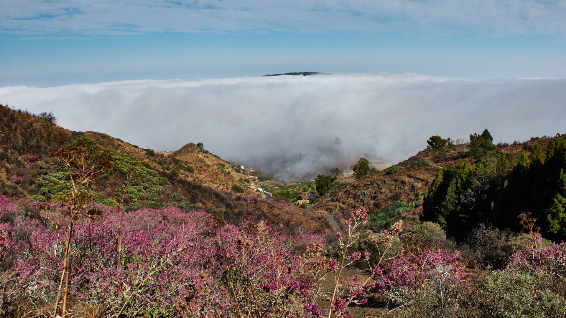 Über die GC-220 und GC-150 hinauf zum Roque Nublo.