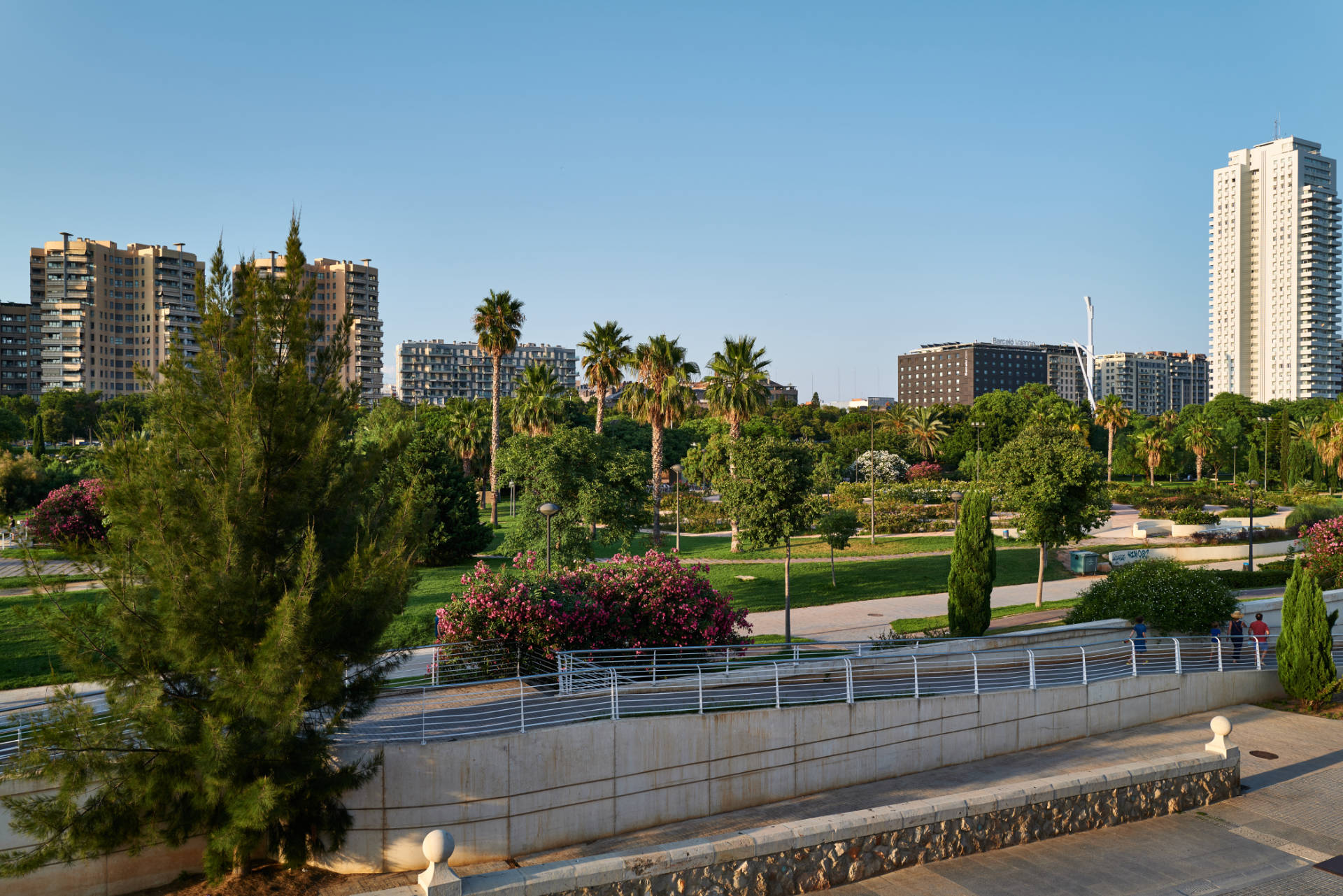 Die Ciudad de las Artes y las Ciencias Valencia eingebettet in einen kilometerlangen Park.