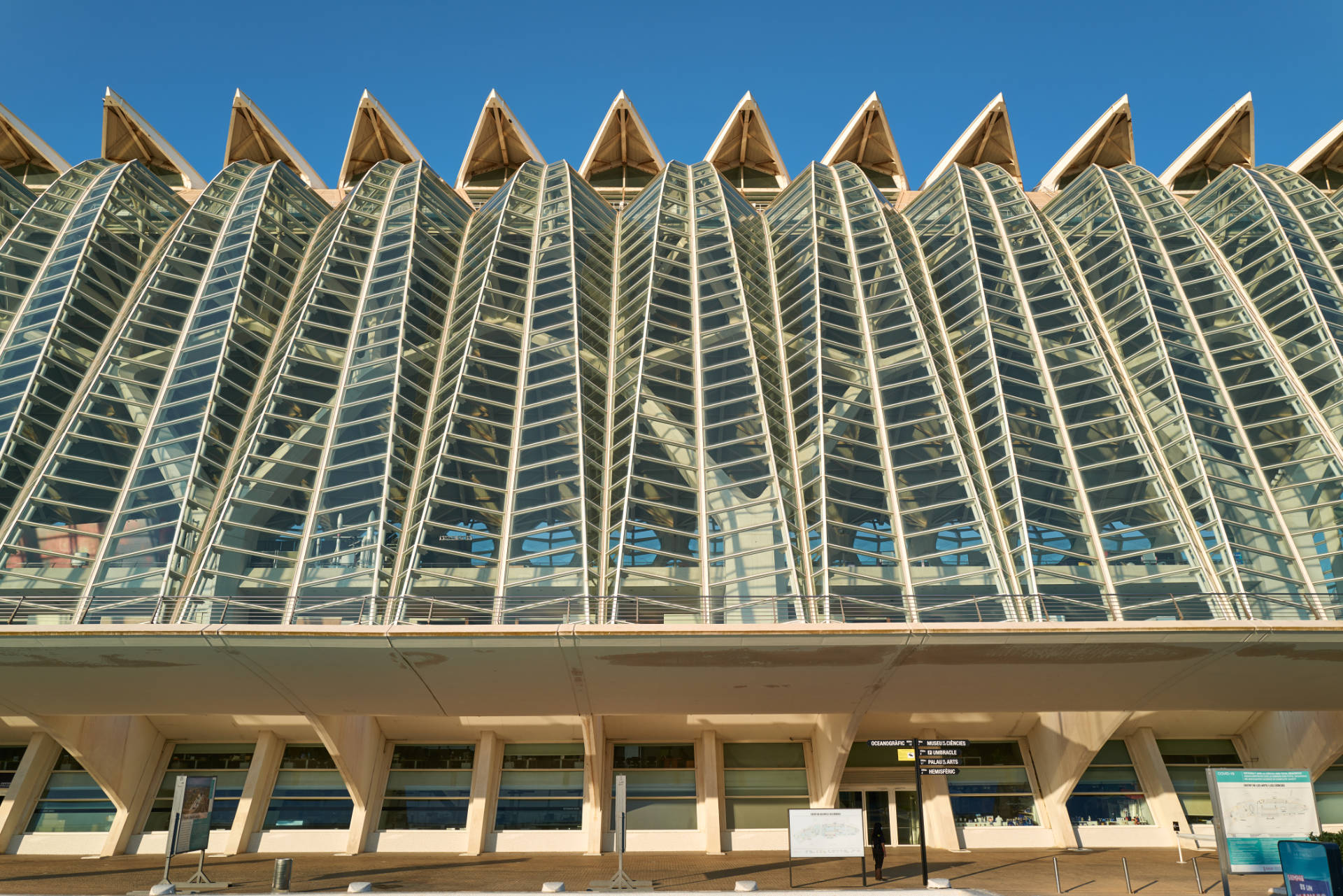 Museo de las Ciencias Príncipe Felipe – Walskelett in der Ciudad de las Artes y las Ciencias Valencia.