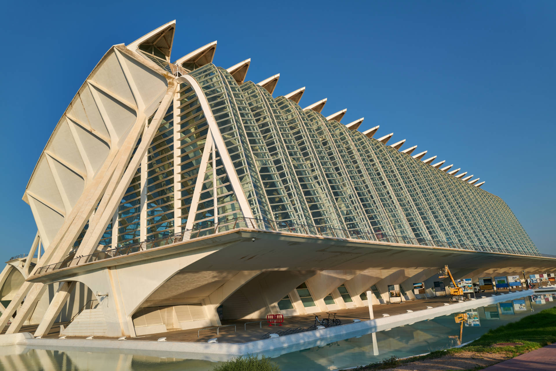 Museo de las Ciencias Príncipe Felipe – Walskelett in der Ciudad de las Artes y las Ciencias Valencia.