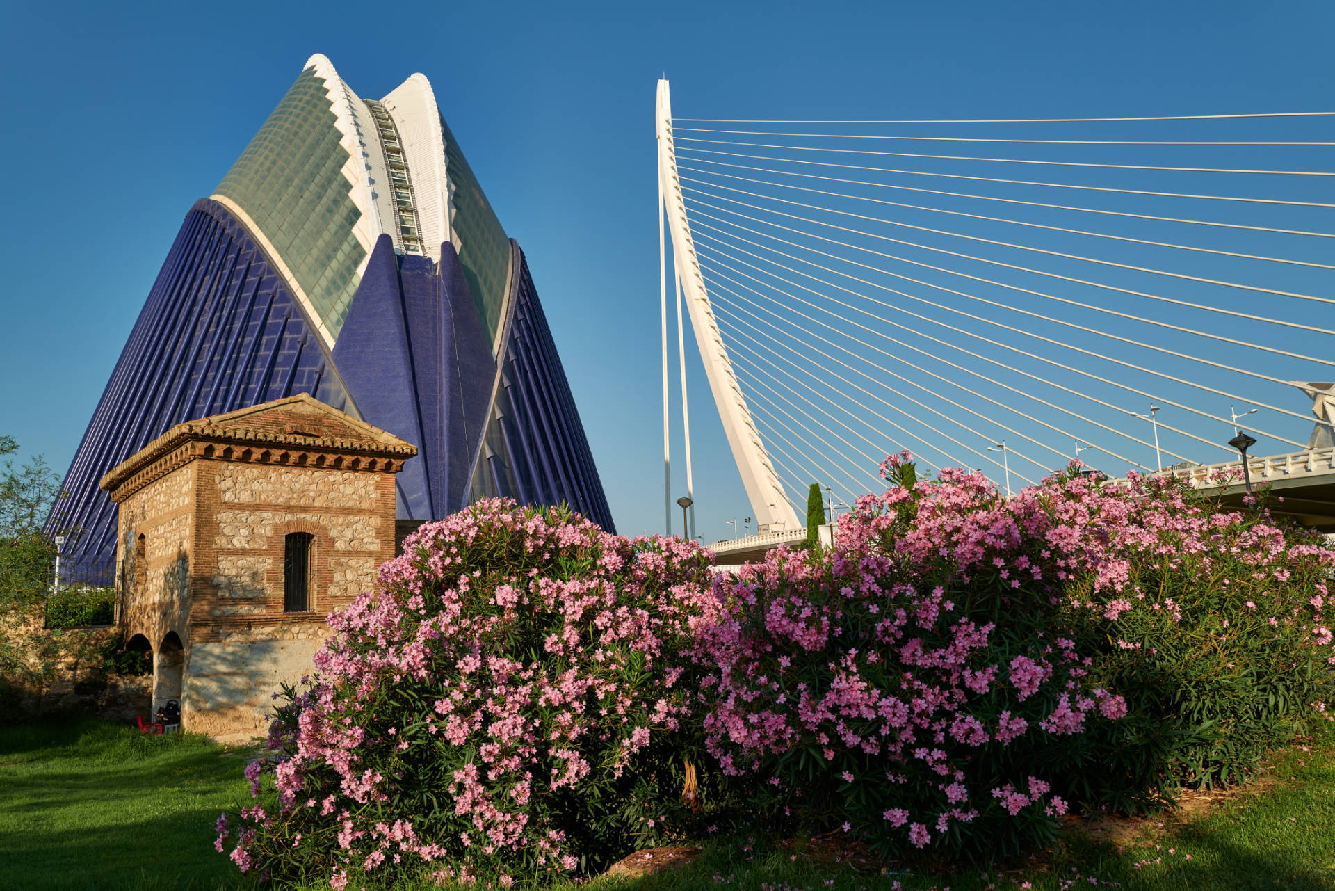 El Ágora Valencia im frühen Morgenlicht.