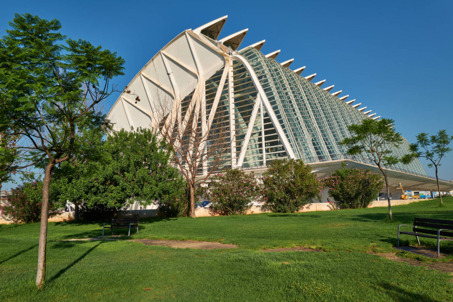 Museo de las Ciencias Príncipe Felipe – Walskelett in der Ciudad de las Artes y las Ciencias Valencia.