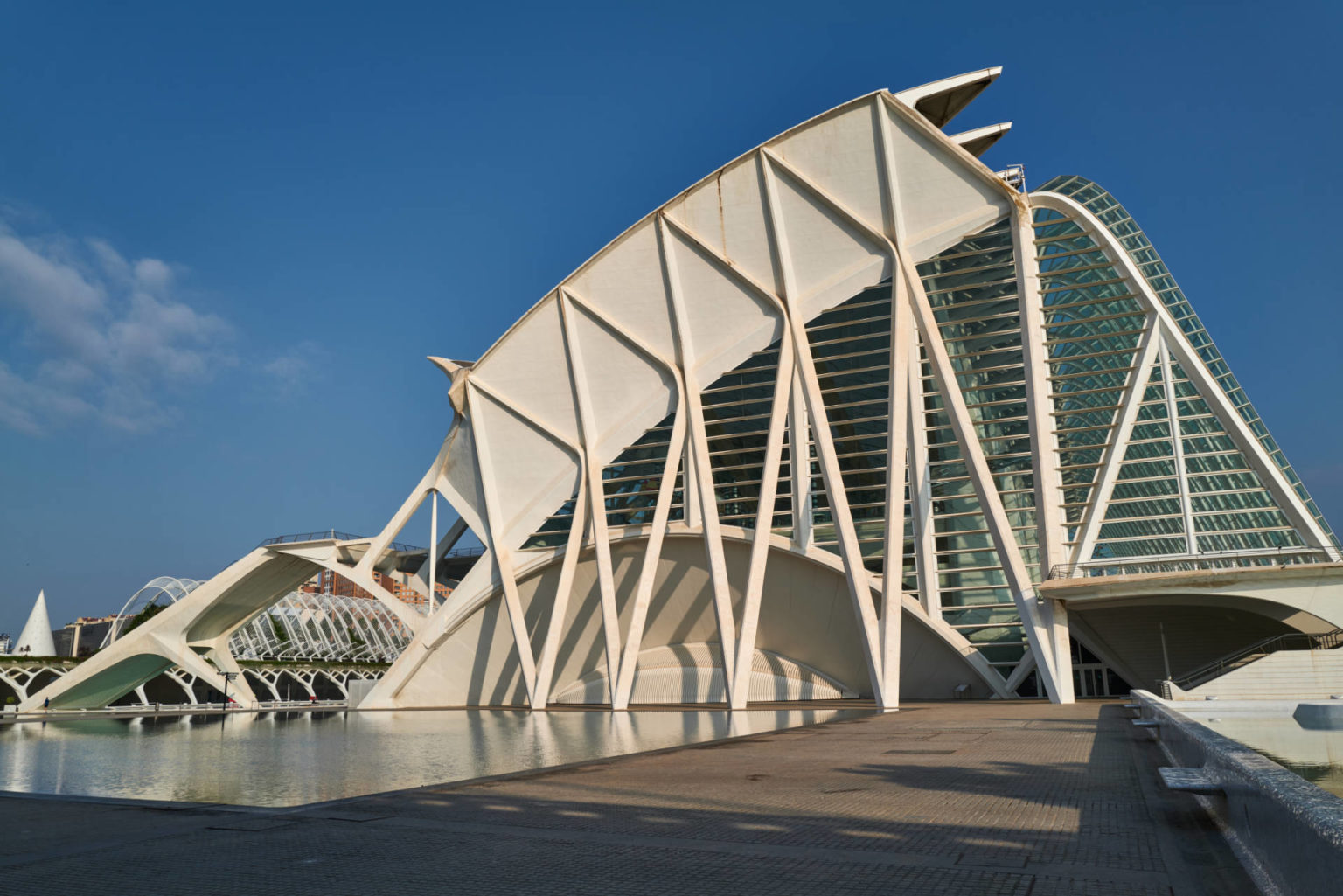 Museo de las Ciencias Príncipe Felipe – Walskelett in der Ciudad de las Artes y las Ciencias Valencia.