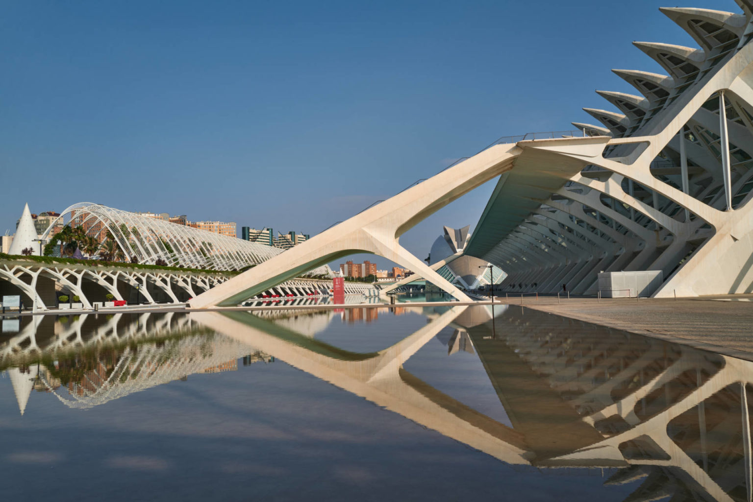 Museo de las Ciencias Príncipe Felipe – Walskelett in der Ciudad de las Artes y las Ciencias Valencia.