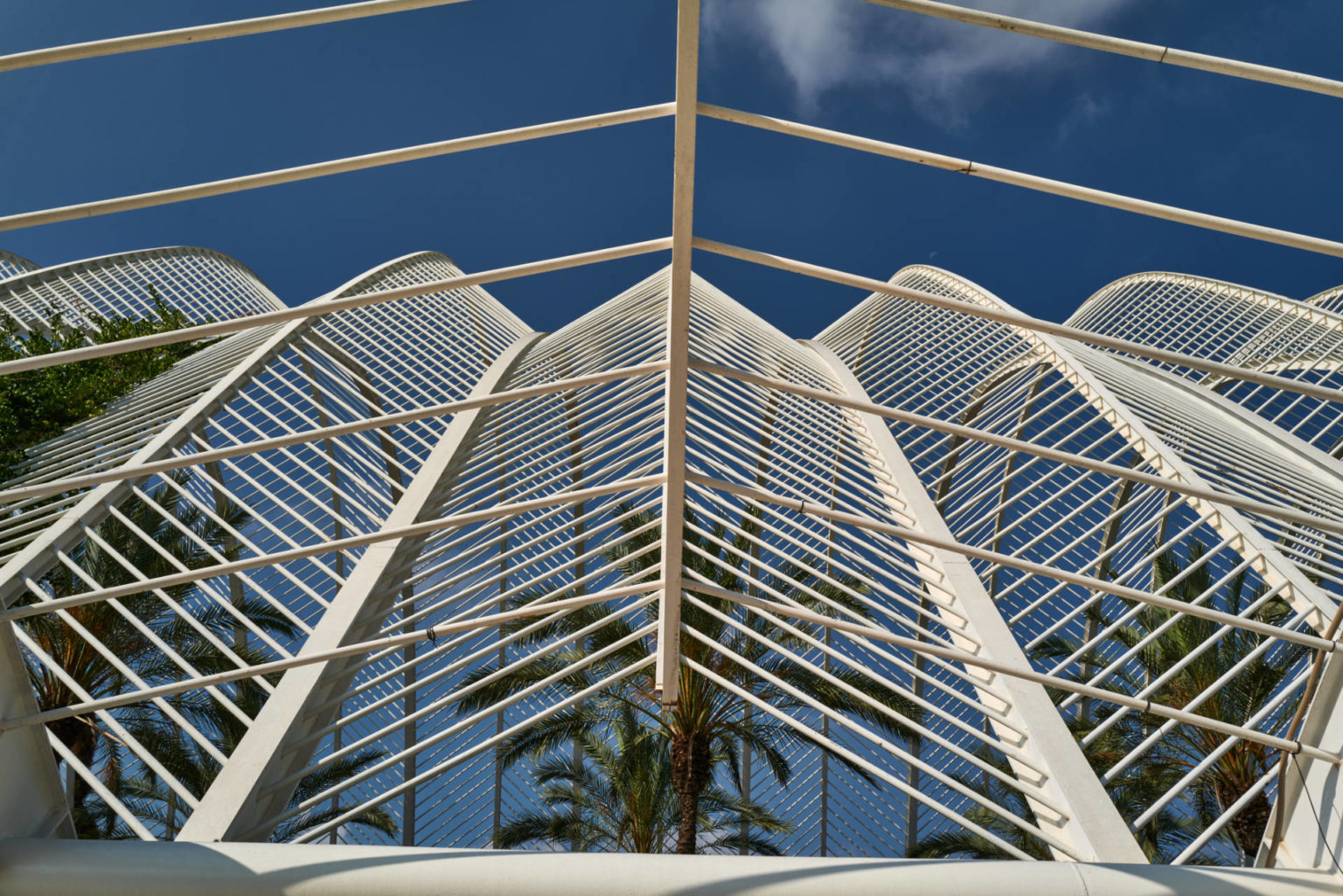 L’Umbracle Valencia – 55 stehende und 54 schwebende Bögen bilden das Dach.