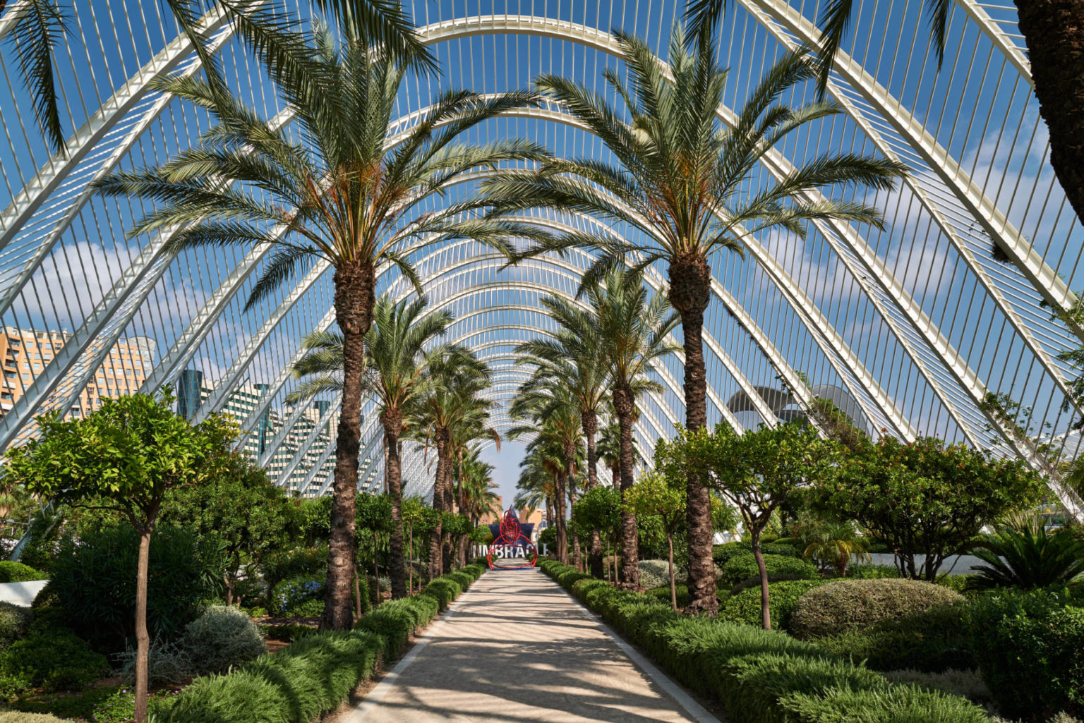 L’Umbracle Valencia – Palmen, Orangenbäume und andere heimische Pflanzen wachsen unter dem Sonnendach.