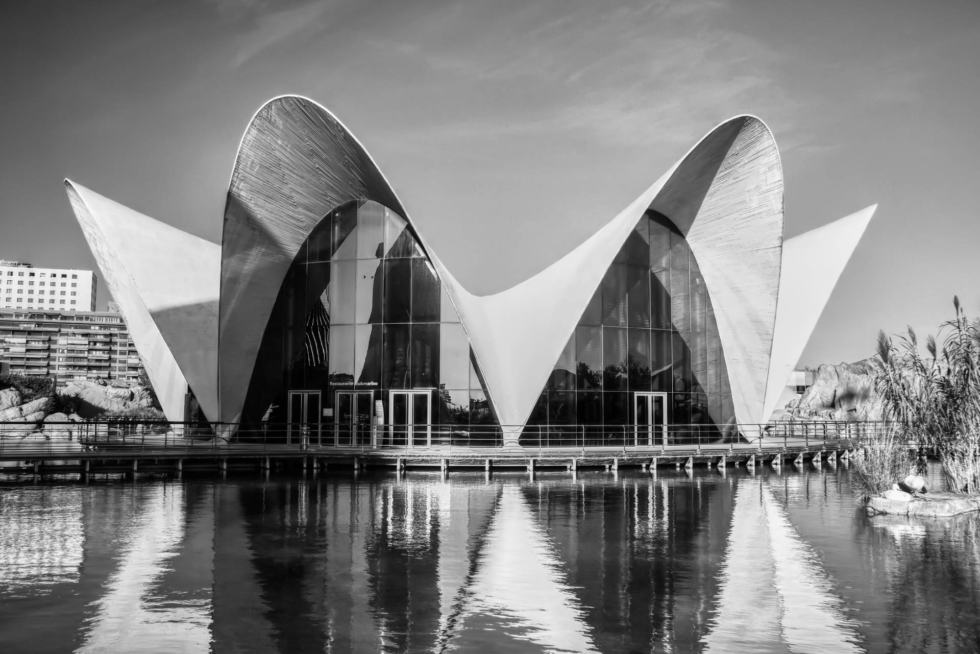 El Oceanográfico Ciudad de las Artes y las Ciencias Valencia.