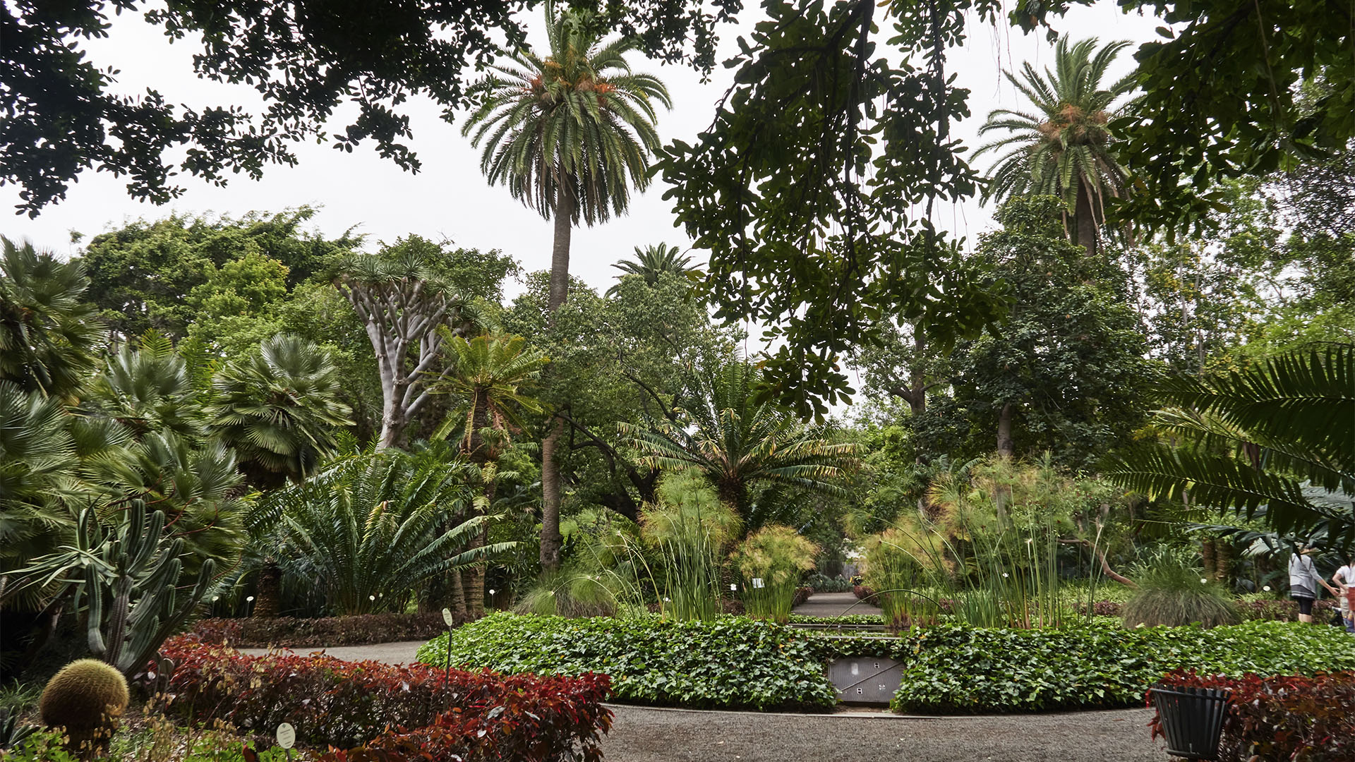 Jardín de Aclimatacíon de La Orotava Teneriffa – auf Geheiß des Carlo Sebastiano di Borbone.