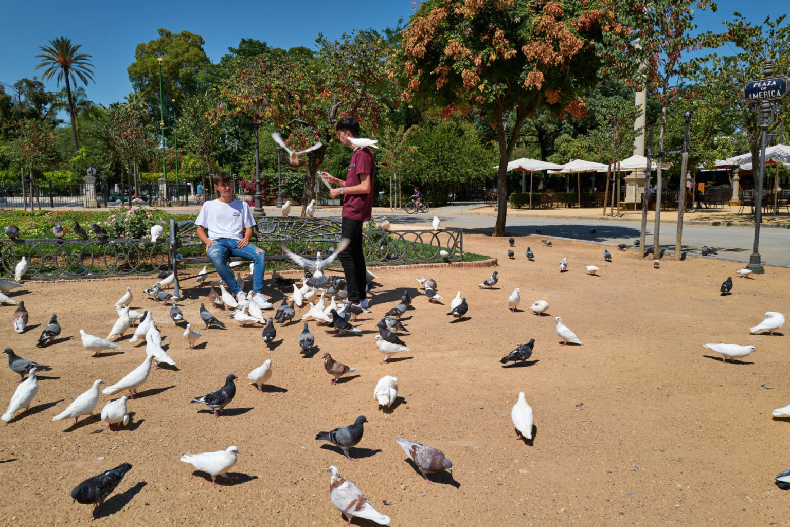 Escultura Fuente De Beber – Parque de María Luisa Sevilla.