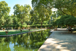 Estanque de Los Lotos – Parque de María Luisa Sevilla.