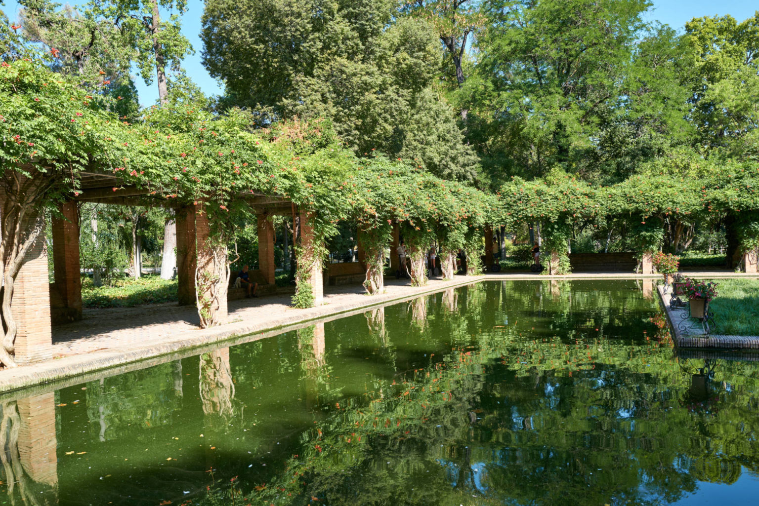 Estanque de Los Lotos – Parque de María Luisa Sevilla.