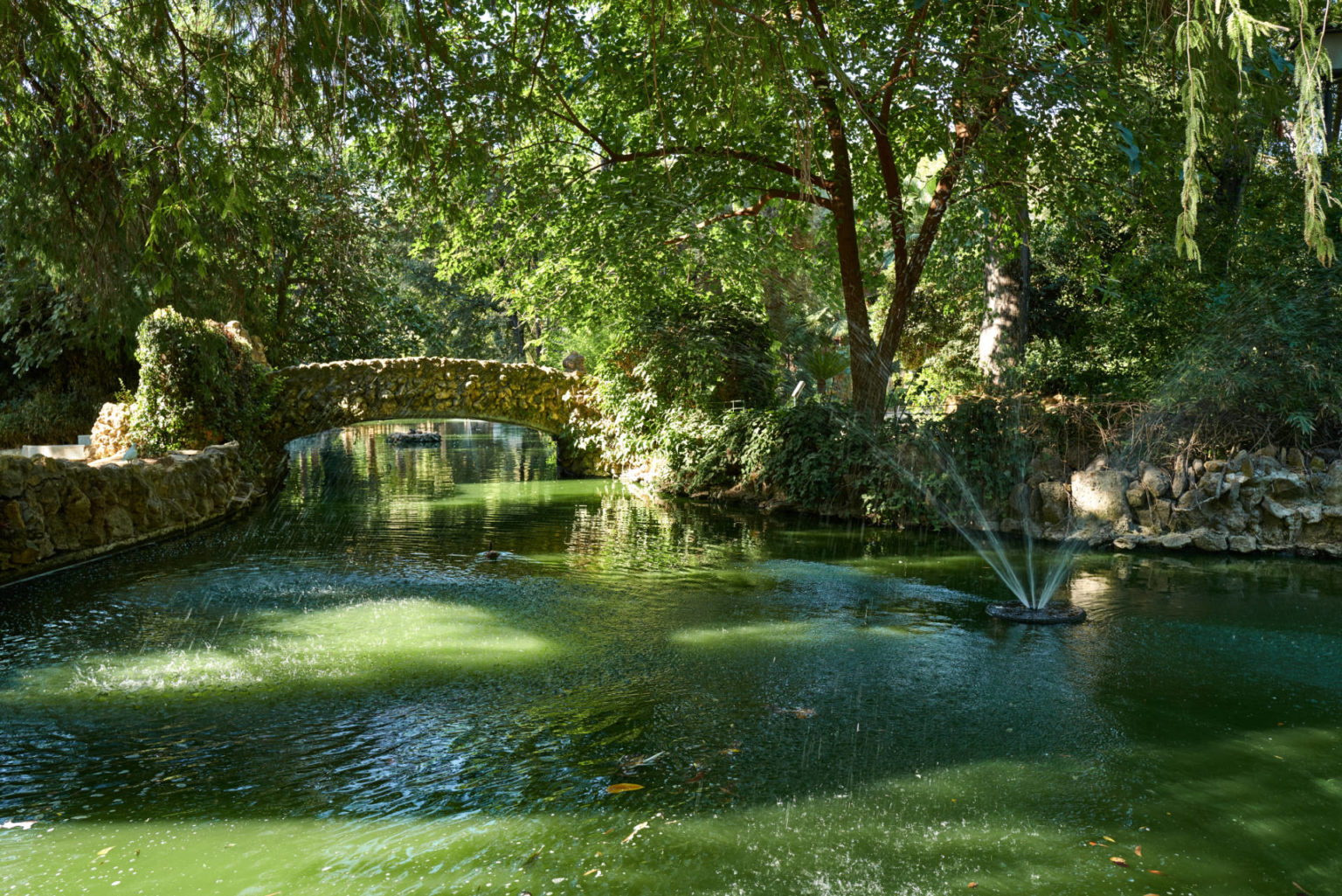 Isleta de los Pájaros – Parque de María Luisa Sevilla.