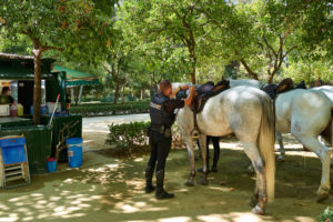Policía Nacional – Parque de María Luisa Sevilla.