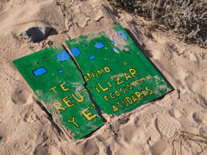 Medio Ambiente am Cabo de Trafalgar.