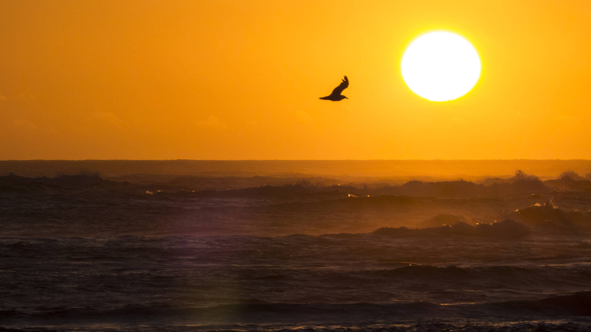 Ein Gefühl von Freiheit – der weite Atlantik und die sinkende Sonne.