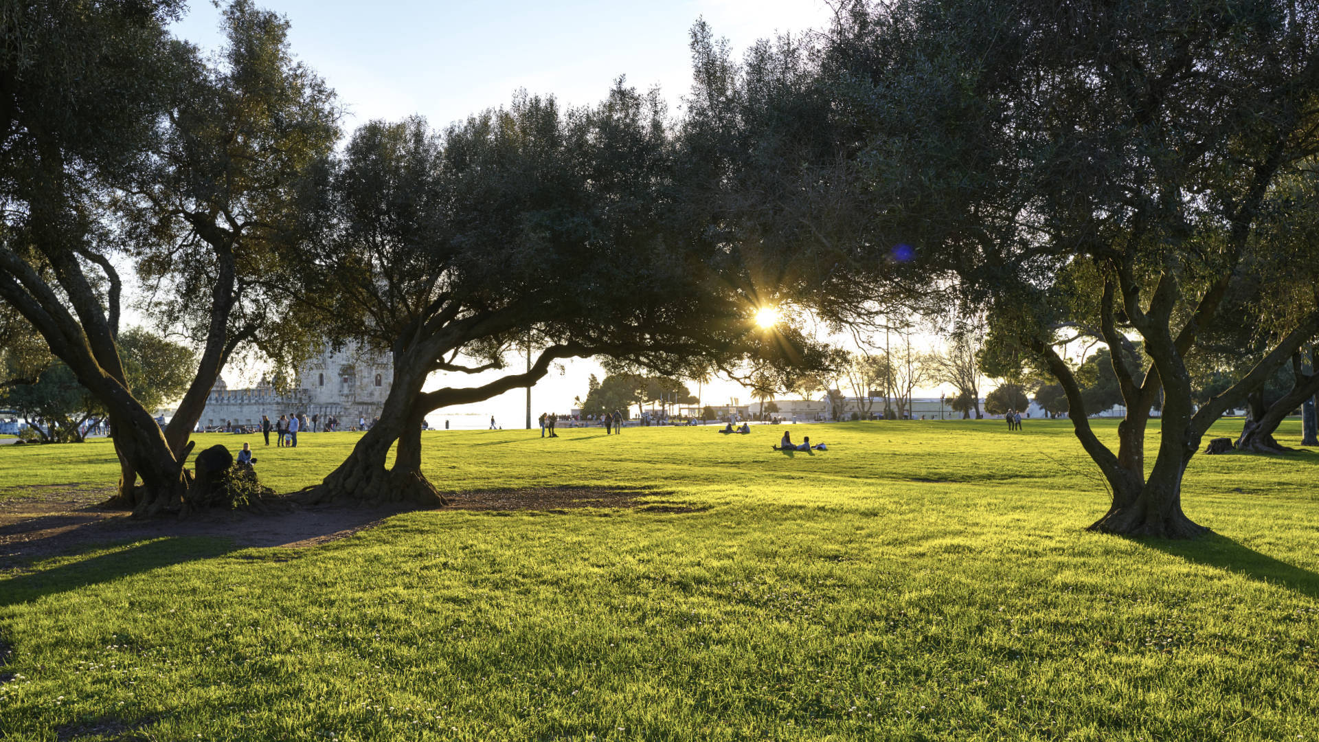 Jardim de Torre de Belém Lisboa.