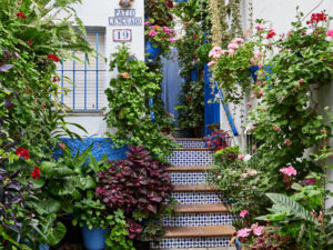 Conil de la Fronterra, Barrio de los Pescadores – enge Sackgassen zu unzähligen Hauseingängen.