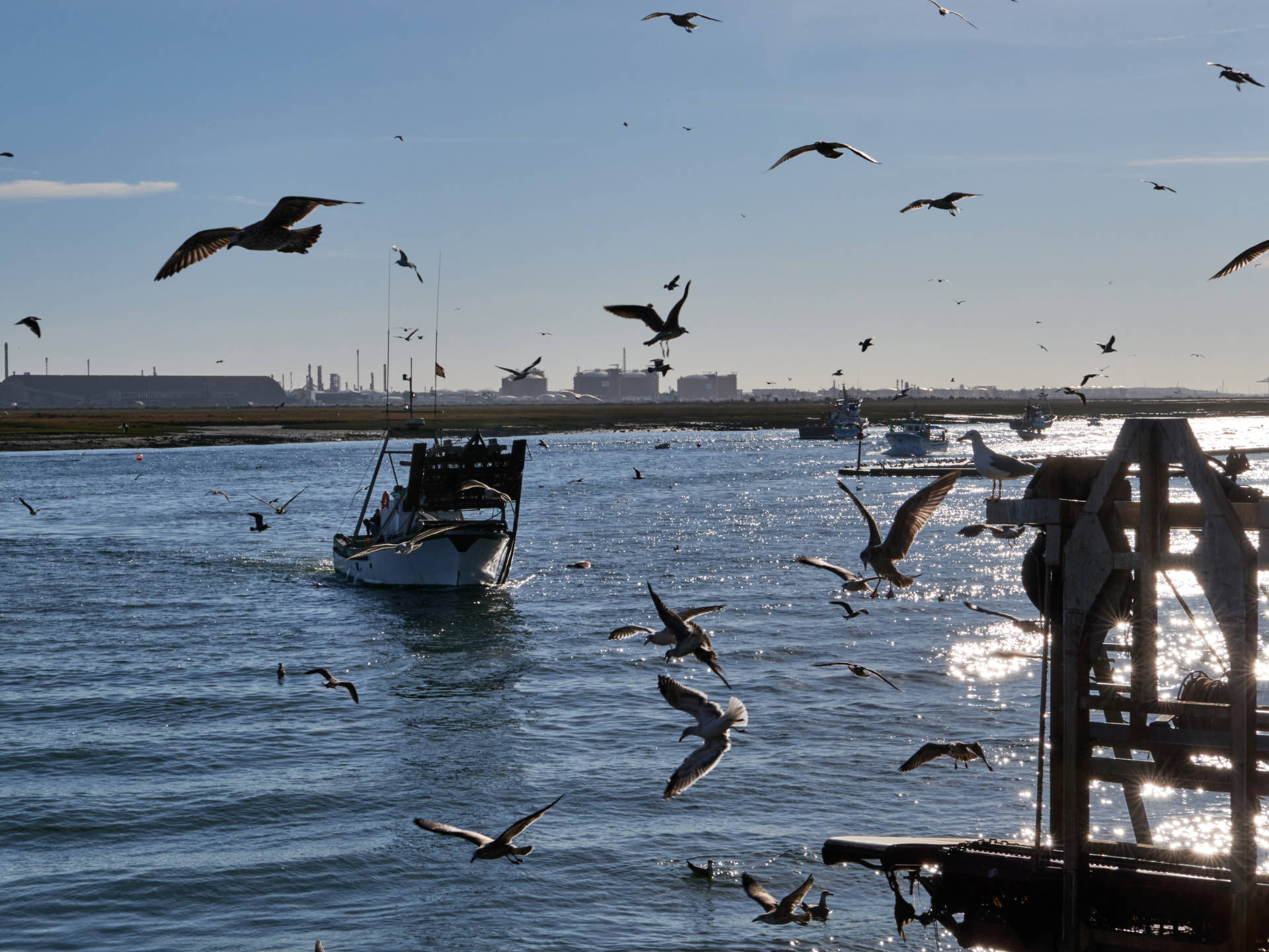 Die ersten Fischkutter landen an der Muelle de la Cofradía zum Löschen an.