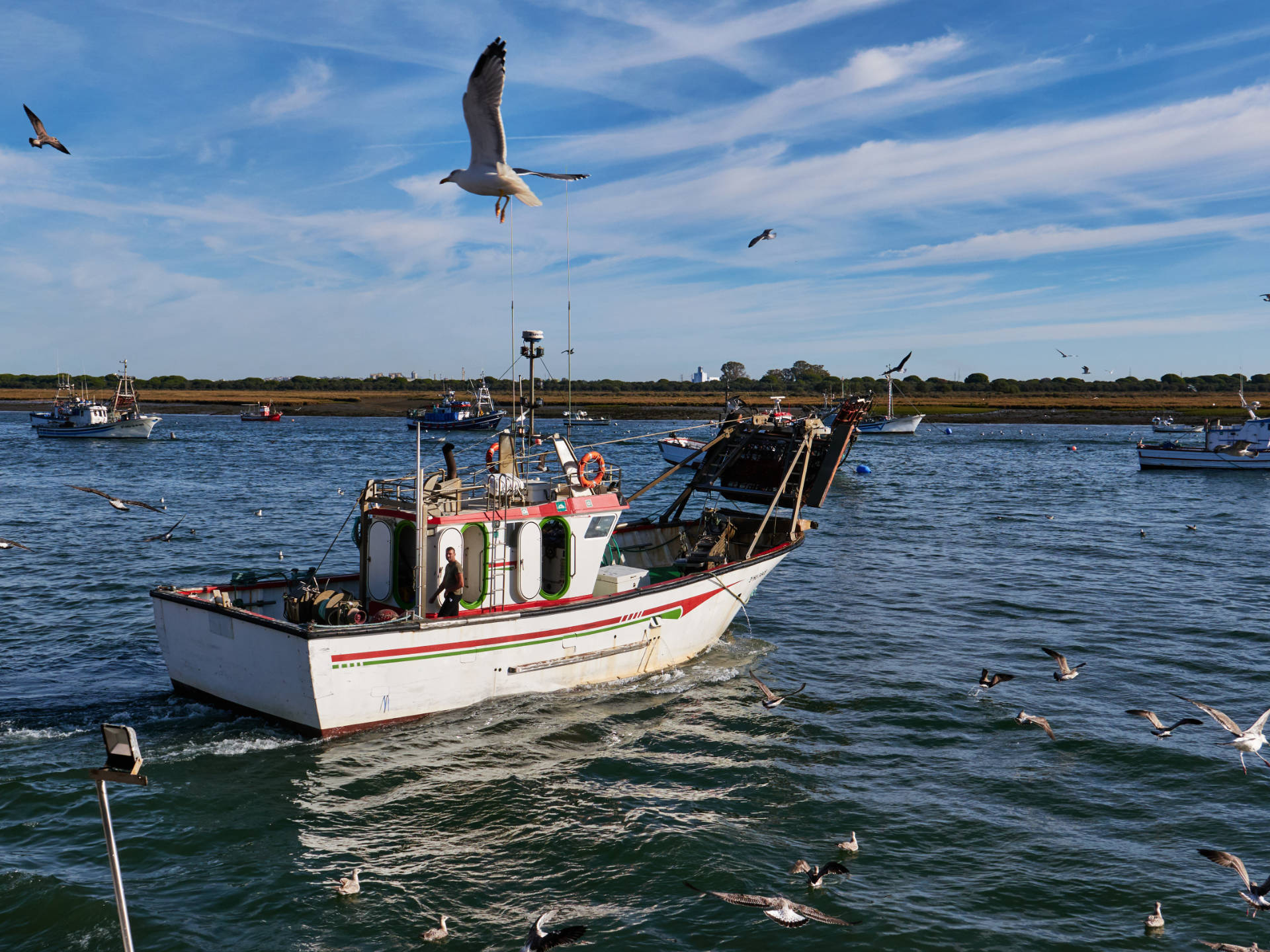 Die ersten Fischkutter landen an der Muelle de la Cofradía zum Löschen an.