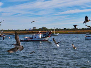 Die ersten Fischkutter landen an der Muelle de la Cofradía zum Löschen an.